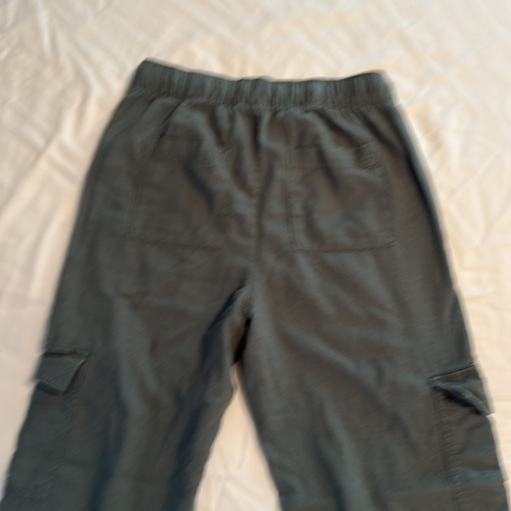 GAP Olive Green Cargo Pants - Picture 2 of 6
